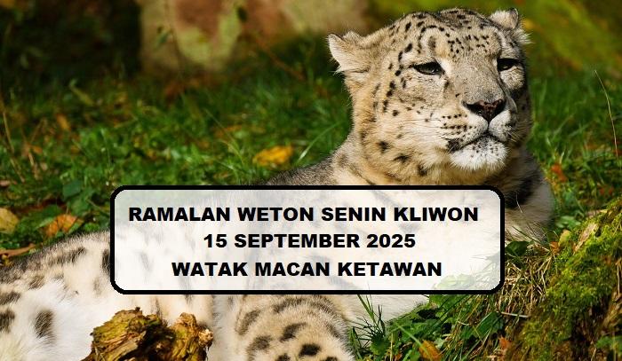 Watak Macan Ketawan, Ramalan Weton Senin Kliwon Tanggal 15 September 2025, Sosok Rela Berkorban – Portal Kendari