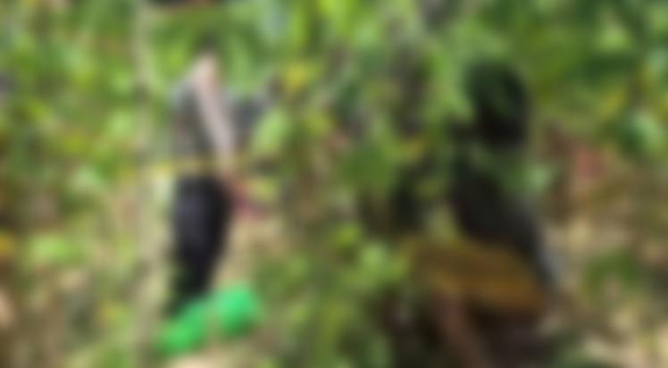 Kronologi Pria Tikam Perutnya Sendiri hingga Meninggal Dunia di Poasia Kendari Sulawesi Tenggara – Portal Kendari