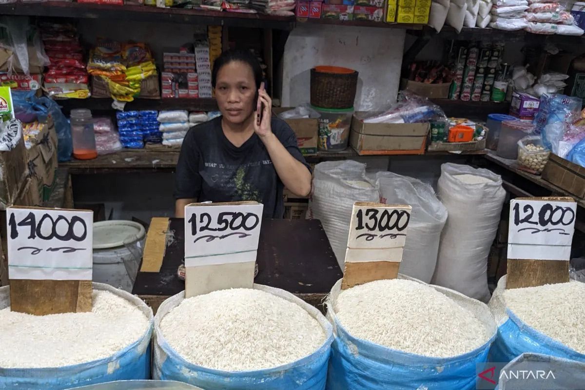 Bapanas: Harga beras medium dan cabai rawit alami penurunan di pasar konsumen