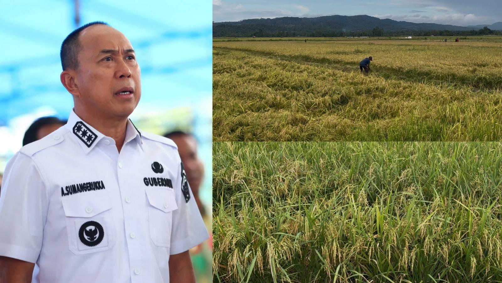 Gubernur Sulawesi Tenggara Bentuk 33 Brigade Pangan Kelola 6.745 Hektare Sawah Baru dari Kementan – Portal Kendari