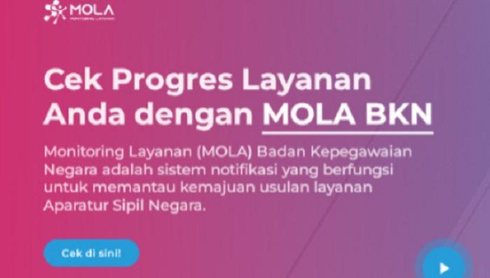Data PPPK Paruh Waktu Tidak Ditemukan saat Cek Pengajuan NIP di MOLA BKN, Penyebab dan Solusinya – Portal Kendari