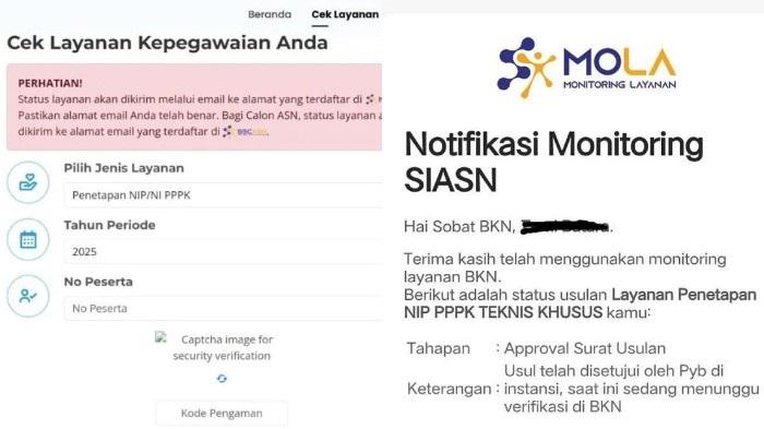 3 Solusi Jika Gagal Cek Usulan penetapan NIP PPPK Paruh Waktu di Web MOLA BKN – Portal Kendari