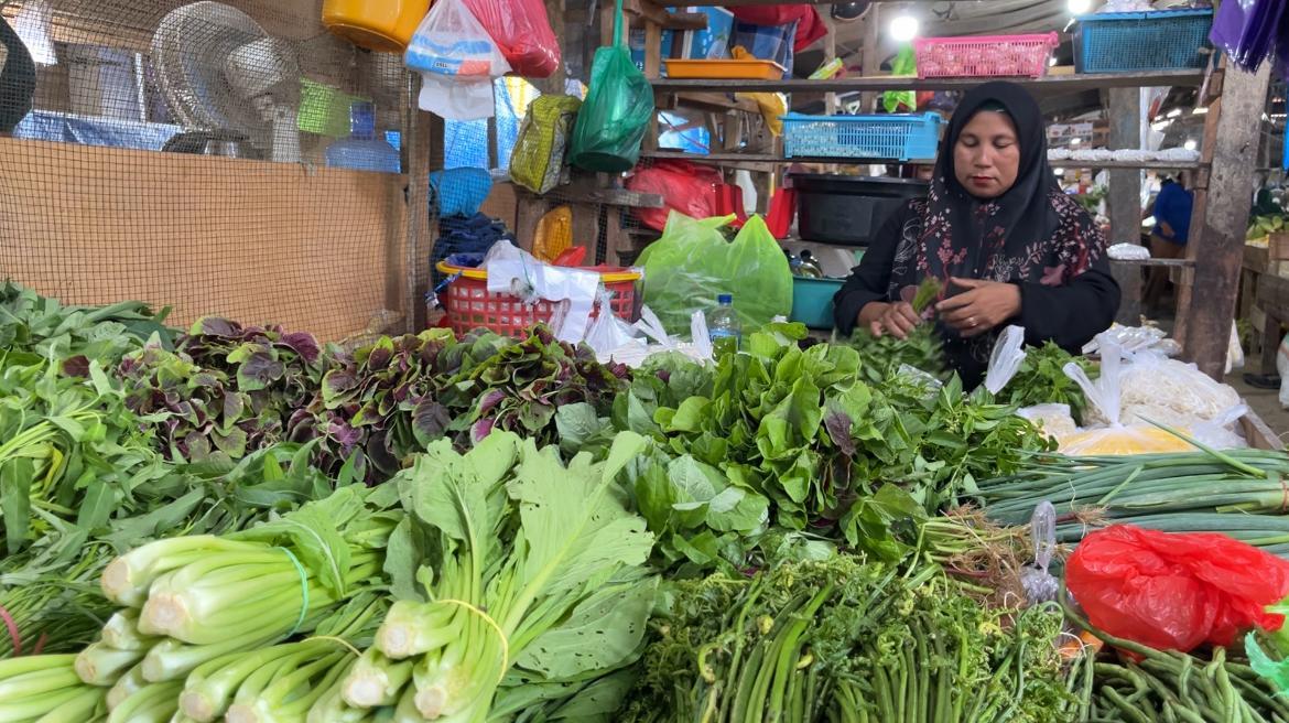 Harga Sayur Kangkung, Bayam hingga Kacang Panjang di Pasar Baruga Kendari Sultra Rp5 Ribu per Ikat – Portal Kendari