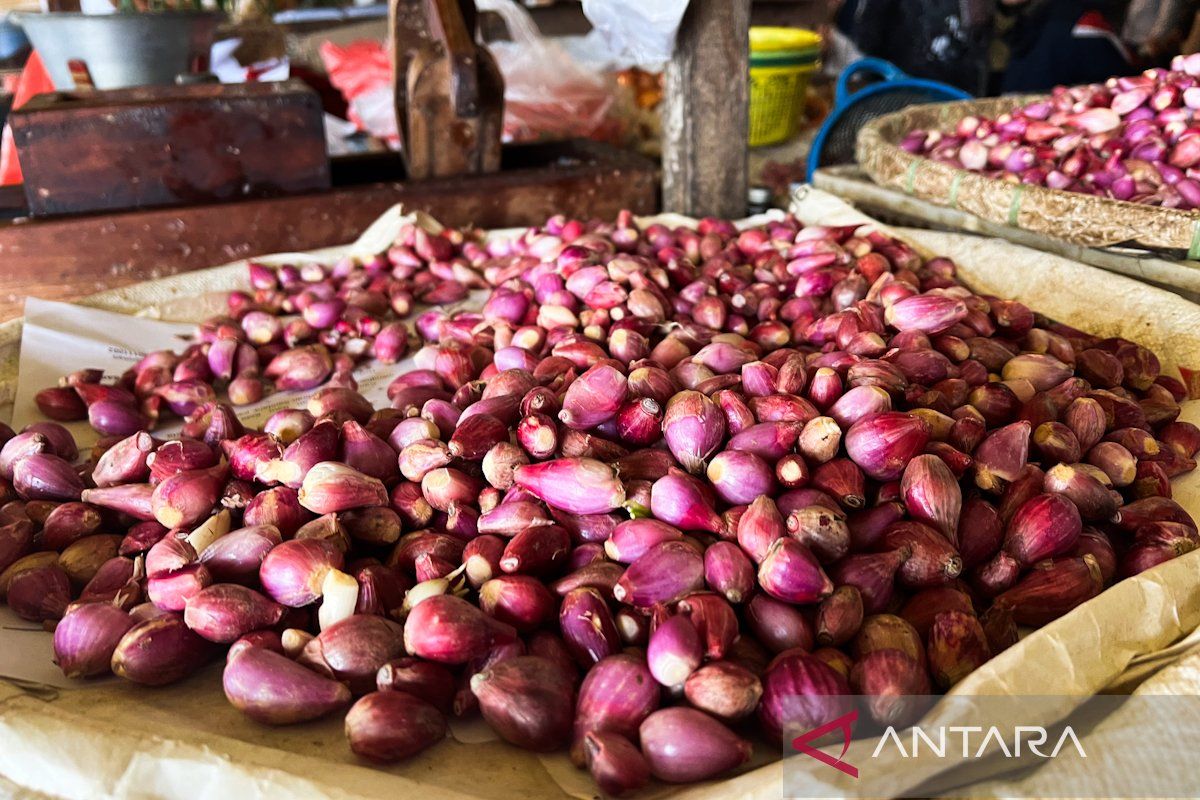 Bapanas catat harga cabai rawit dan bawang merah turun, ini daftar harga pangan terbaru