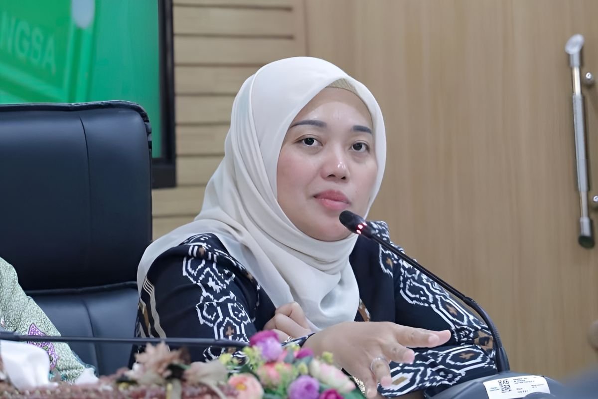 DPR minta ritel modern lebih serius beri porsi bagi UMKM