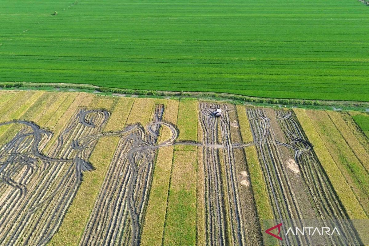 Kementerian ATR pastikan perubahan penggunaan lahan sesuai tata ruang